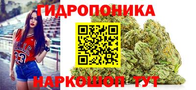 ГАЛЛЮЦИНОГЕННЫЕ ГРИБЫ Заводоуковск