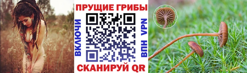 магазин продажи наркотиков  Наро-Фоминск  Псилоцибиновые грибы MAGIC MUSHROOMS 