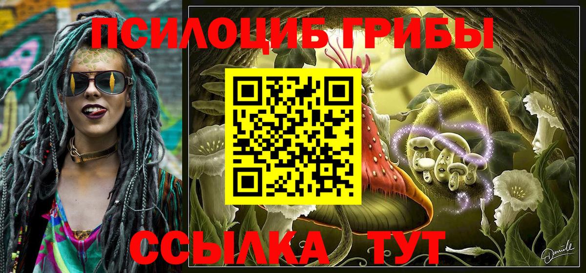 Галлюциногенные грибы Psilocybe Наро-Фоминск