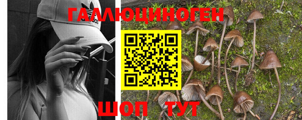 Галлюциногенные грибы Magic Shrooms  Вход с VPN  Наро-Фоминск 